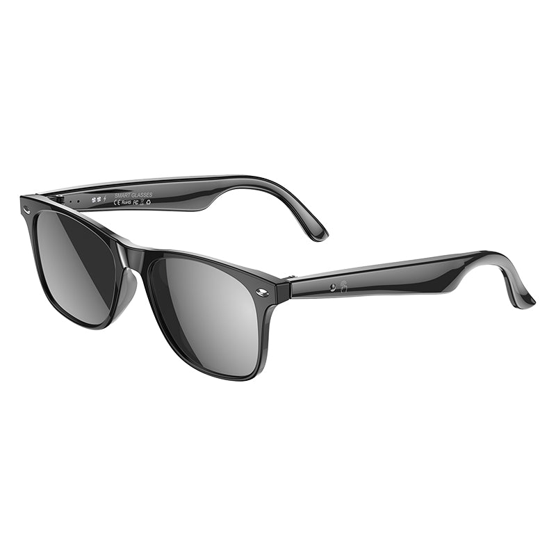AI intelligent voice and video real-time translation Bluetooth audio glasses, 163 languages | Voice notes | Remote photo taking | Bluetooth 6.0 calls | Music playback | IP65 waterproof